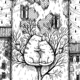 Котеньки в Питере