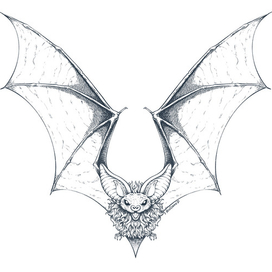 Летучая мышь