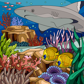 Раскраска - Черноперая рифовая акула
