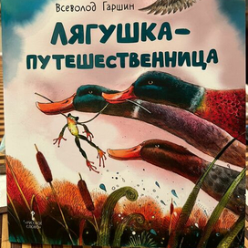 Обложка книги.