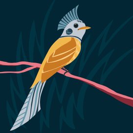 Фантастические птицы