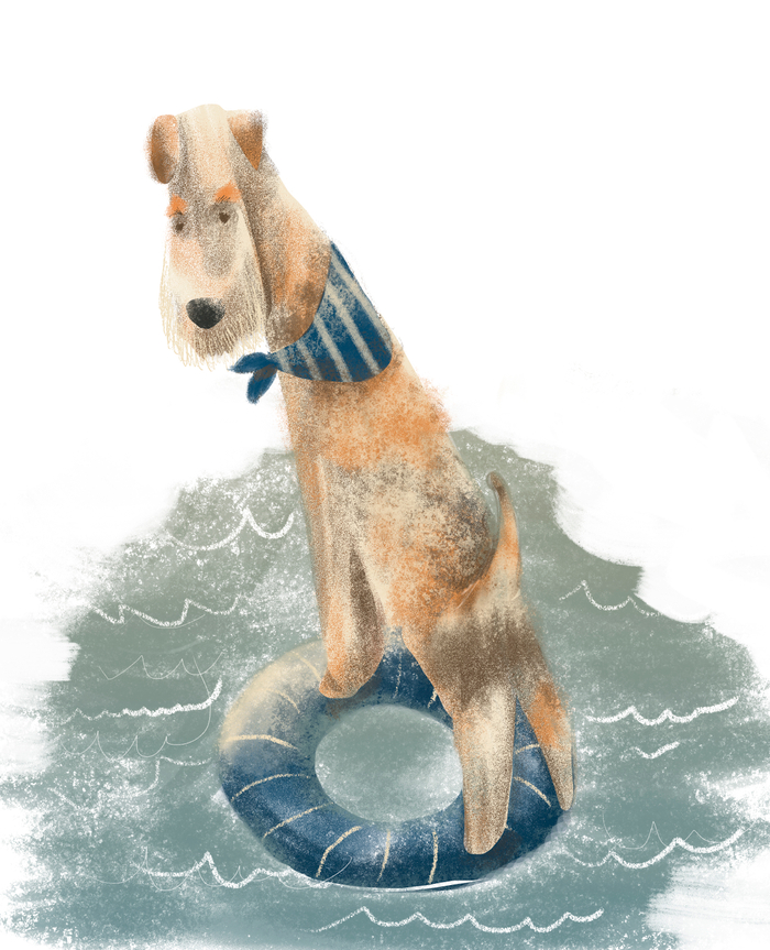 фокстерьер