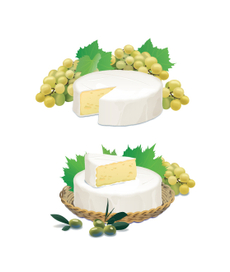 Камамбер для этикетки