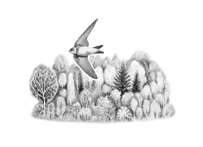 Иллюстрация к рассказу Виталия Бианки "Лесные домишки". Титул