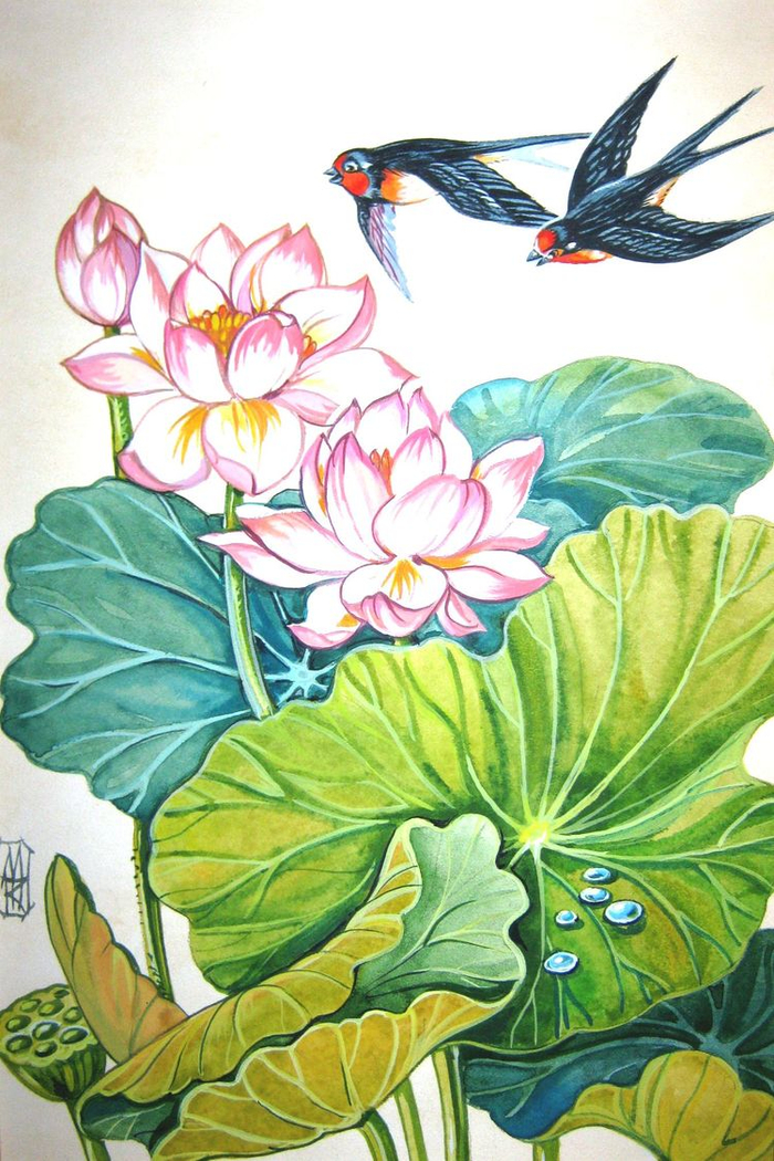 ласточки и  лотосы