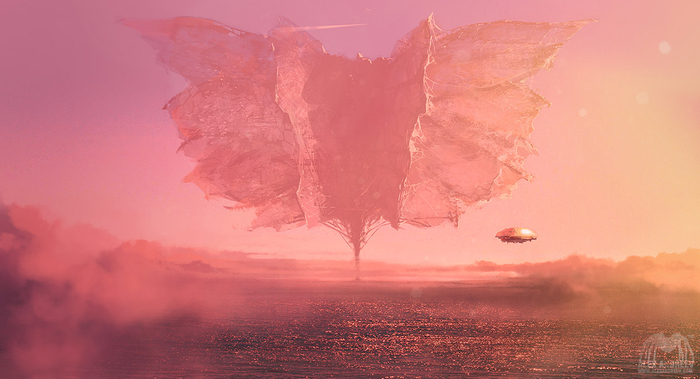 Солярис. Симметриада