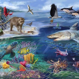 Энциклопедия животных