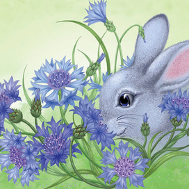 Василёк (цветы)