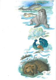 журнальная иллюстрация