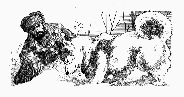 Возвращение росомахи. Илл.8