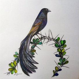 Из жизни птиц 3