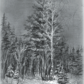 Вечерний свет