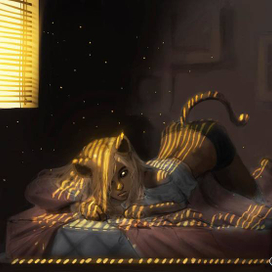 Кошачье утро