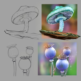 Наброски грибы и маки 