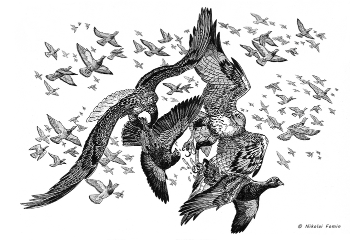 Как у Ганга у реки объявились канюки...