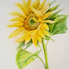 Цветущее солнце