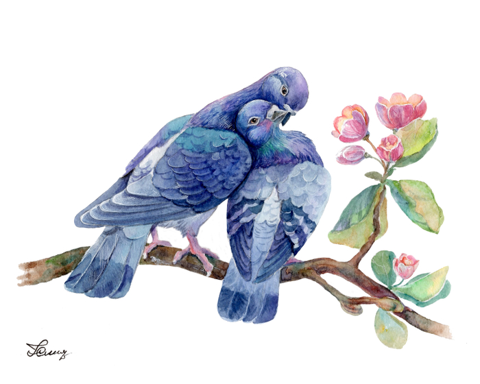 Влюблённые голубки