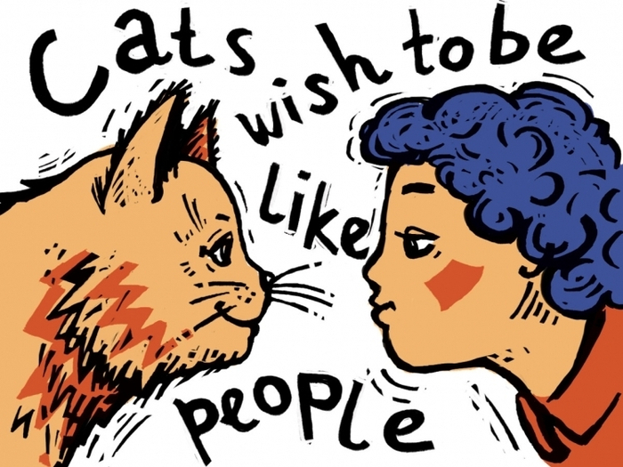 кошки хотят быть похожи на людей