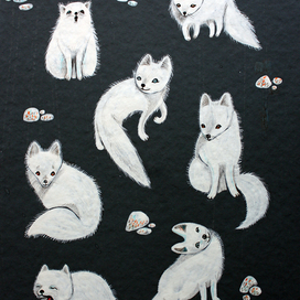 паттерн из арктических лисиц