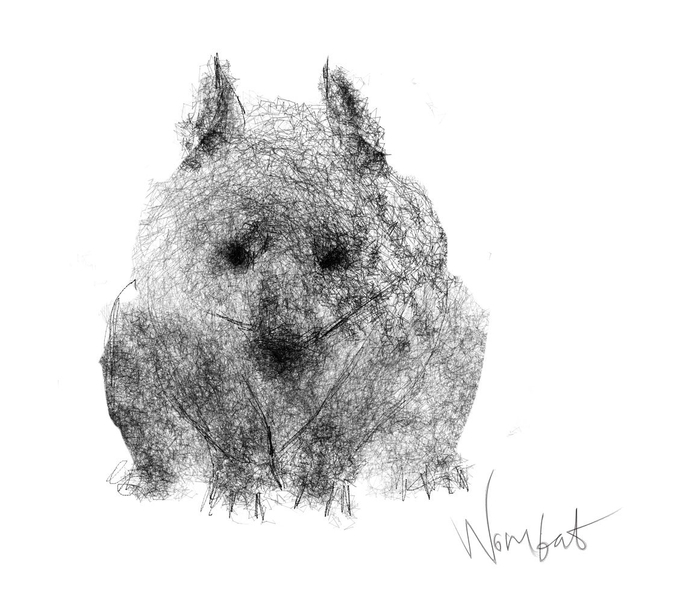 Wombat