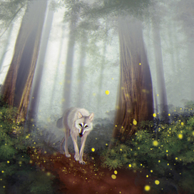 Туман наступает