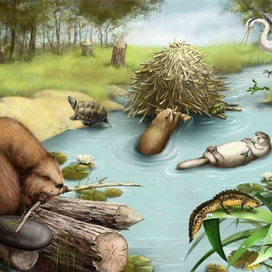 "Хлопоты на пруду"