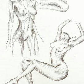 3 оттенка тела