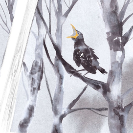 к рассказам Пришвина, "Говорящий грач"