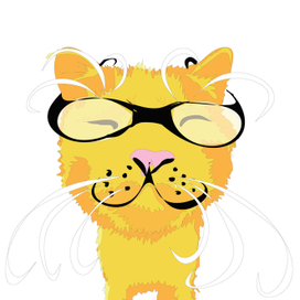 кот в очках