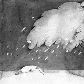 Крошки цыпы