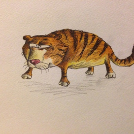 Тигр