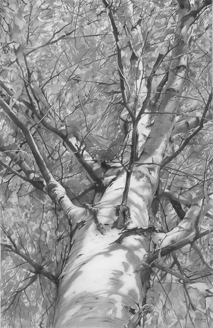 Осенняя береза