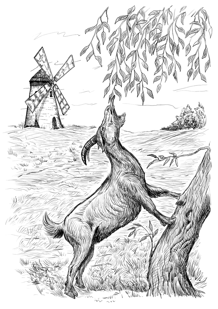 коза и мельница