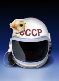 День Космонавтики