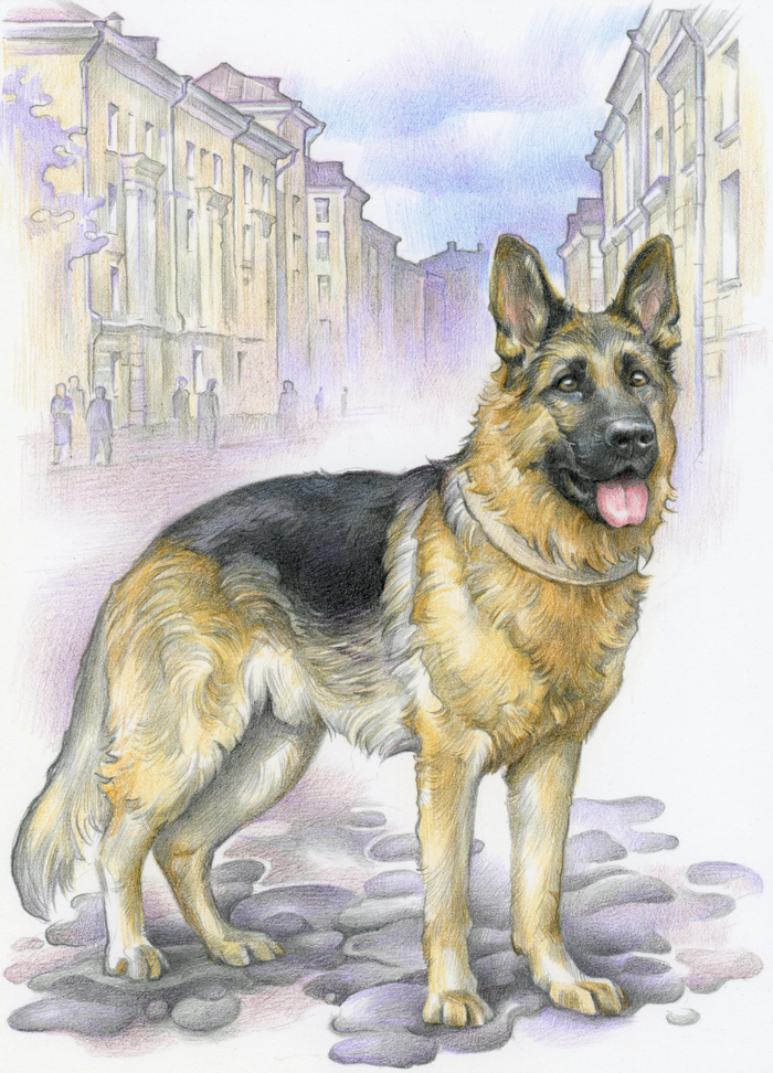 Яранг-Золотой Зуб