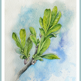 Пробуждение. 