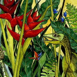 Компсогнат