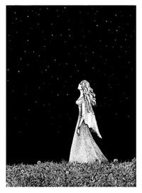 Звездная ночь