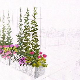 Веранда. эскиз