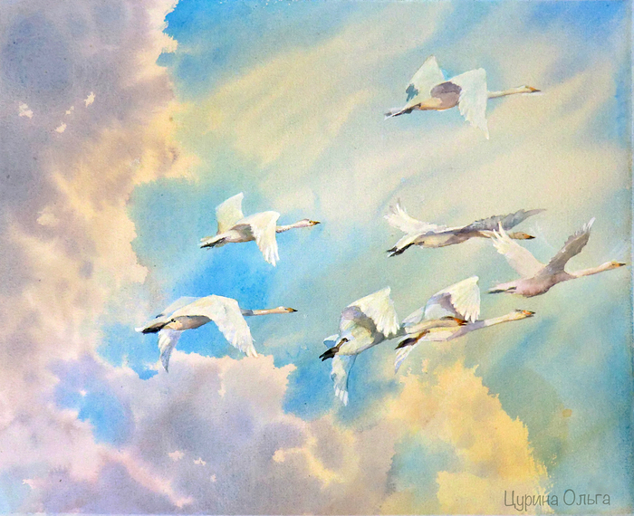 Великое переселение птиц на родину