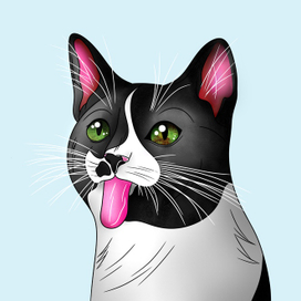 Иллюстрация "Шустрый котик" 