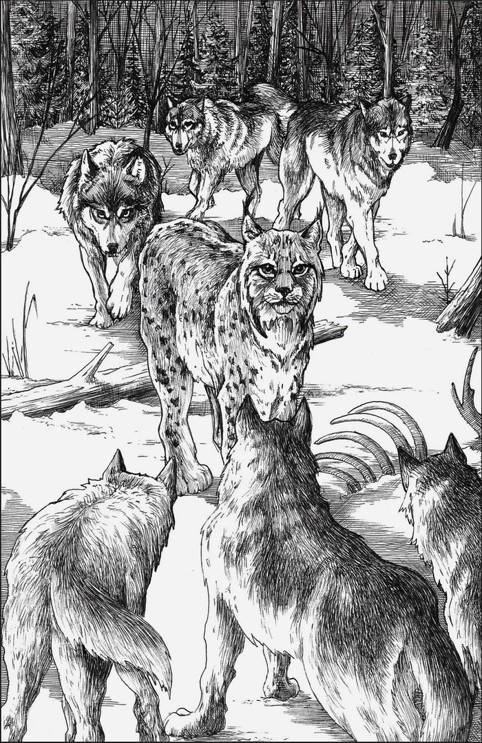 Волчья стая