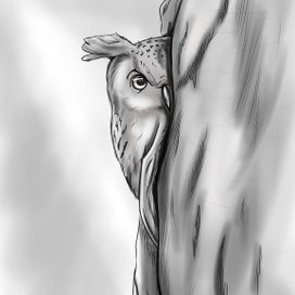 Сова в дупле дерева. Черно-белый рисунок