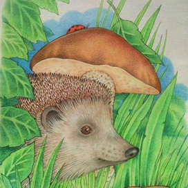 Гриб-зонтик