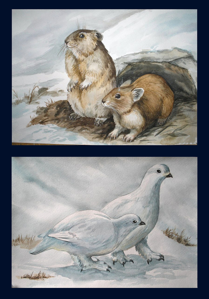  лемминги и куропатки