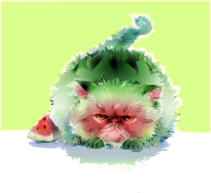 арбузный кот