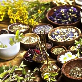   Все, что касается здоровья, на сайте Alter-Zdrav