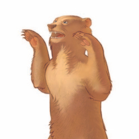 медведь цвет