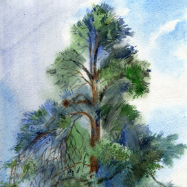 Между дождями