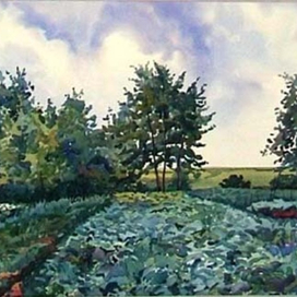 Уголок в саду